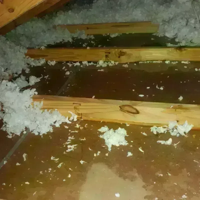 Attic Water Damage in South Point, OH