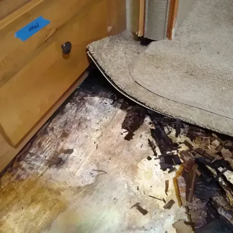 Wood Floor Water Damage in South Point, OH